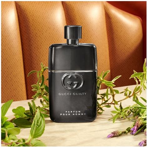 gucci guilty vs gucci guilty pour homme|gucci guilty pour homme men.